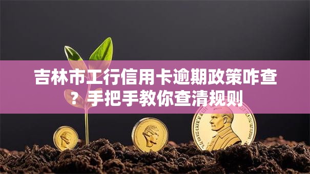 吉林市工行信用卡逾期政策咋查？手把手教你查清规则
