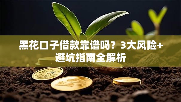 黑花口子借款靠谱吗？3大风险+避坑指南全解析