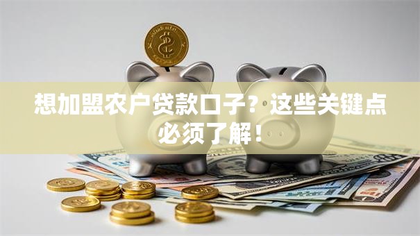 想加盟农户贷款口子？这些关键点必须了解！