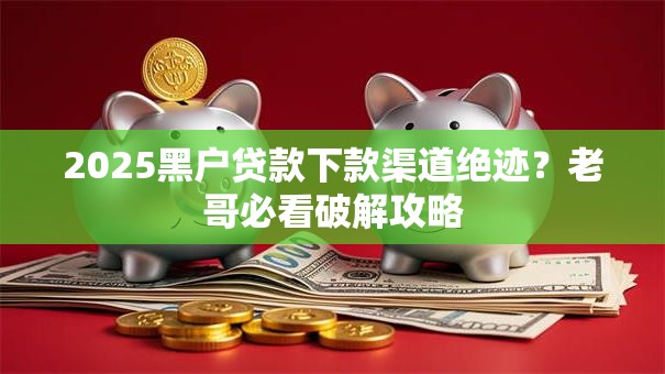 2025黑户贷款下款渠道绝迹？老哥必看破解攻略