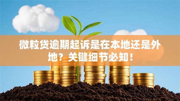 微粒贷逾期起诉是在本地还是外地?关键细节必知! 微粒贷逾期起诉是在本地还是外地?关键细节必知!