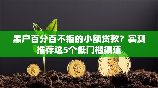 黑户百分百不拒的小额贷款？实测推荐这5个低门槛渠道