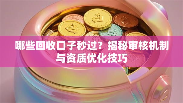哪些回收口子秒过？揭秘审核机制与资质优化技巧
