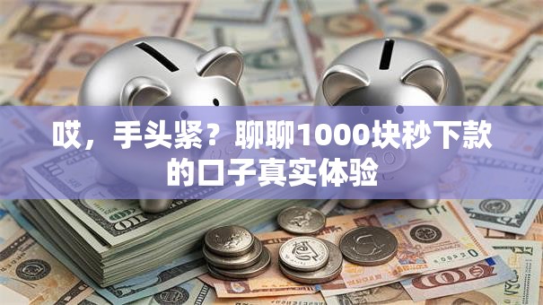 哎，手头紧？聊聊1000块秒下款的口子真实体验