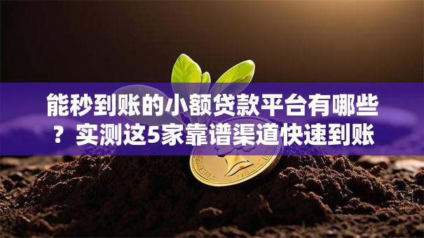 能秒到账的小额贷款平台有哪些？实测这5家靠谱渠道快速到账