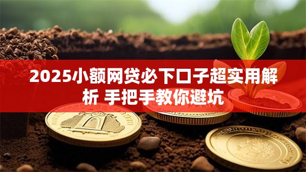 2025小额网贷必下口子超实用解析 手把手教你避坑