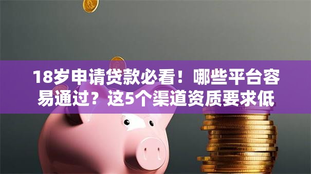 18岁申请贷款必看！哪些平台容易通过？这5个渠道资质要求低
