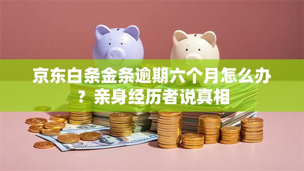 京东白条金条逾期六个月怎么办？亲身经历者说真相