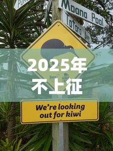 2025年不上征信的网贷平台有哪些？这些渠道或许能帮你
