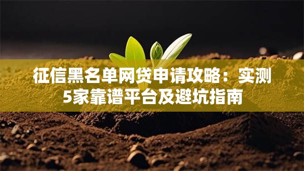 征信黑名单网贷申请攻略：实测5家靠谱平台及避坑指南