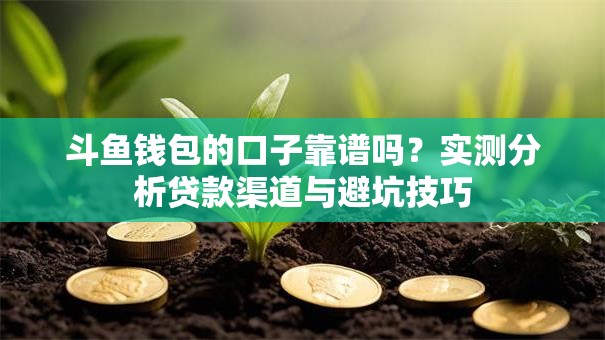 斗鱼钱包的口子靠谱吗？实测分析贷款渠道与避坑技巧
