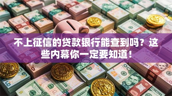 不上征信的贷款银行能查到吗？这些内幕你一定要知道！
