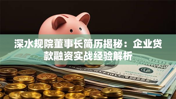 深水规院董事长简历揭秘：企业贷款融资实战经验解析