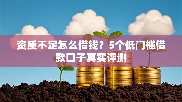 资质不足怎么借钱？5个低门槛借款口子真实评测