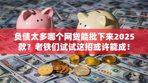 负债太多哪个网贷能批下来2025款？老铁们试试这招或许能成！