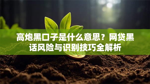 高炮黑口子是什么意思？网贷黑话风险与识别技巧全解析