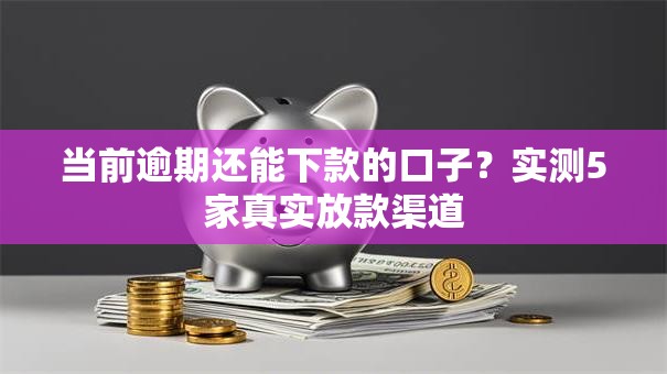 当前逾期还能下款的口子？实测5家真实放款渠道