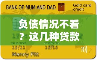 负债情况不看？这几种贷款渠道或许能帮你解困