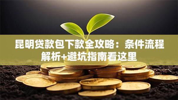 昆明贷款包下款全攻略：条件流程解析+避坑指南看这里
