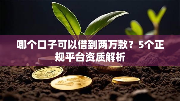 哪个口子可以借到两万款？5个正规平台资质解析