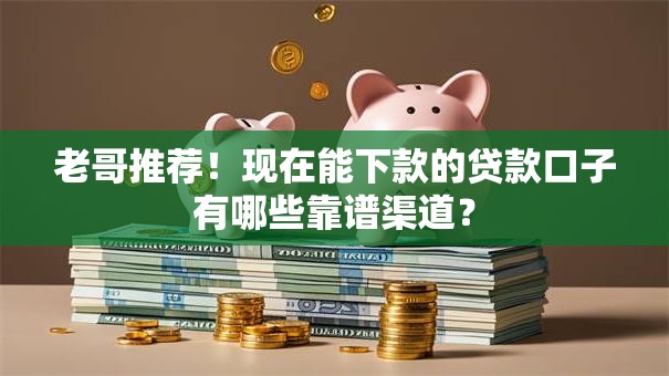 老哥推荐！现在能下款的贷款口子有哪些靠谱渠道？