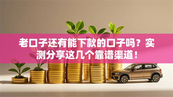 老口子还有能下款的口子吗？实测分享这几个靠谱渠道！