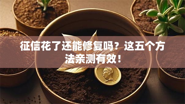 征信花了还能修复吗？这五个方法亲测有效！