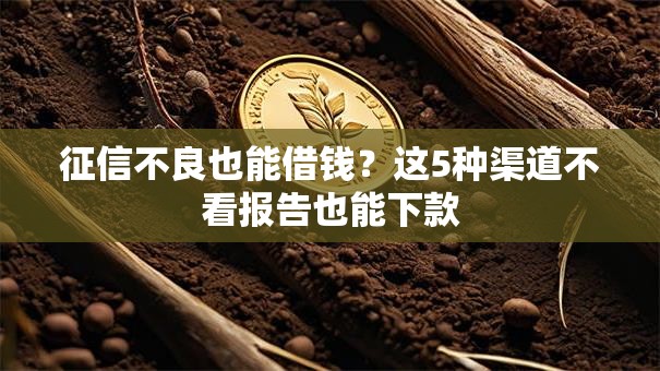 征信不良也能借钱？这5种渠道不看报告也能下款