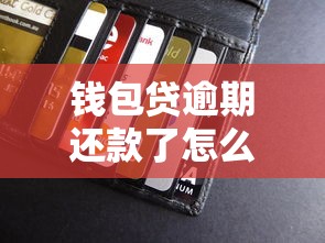 钱包贷逾期还款了怎么办？教你三招补救信用不慌张