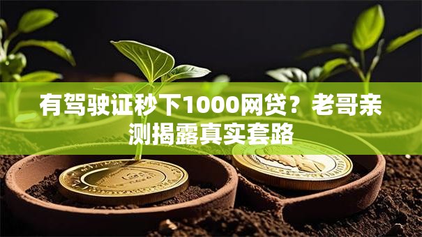 有驾驶证秒下1000网贷？老哥亲测揭露真实套路