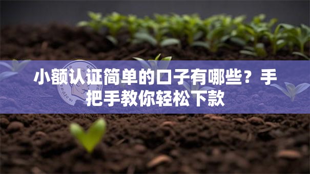 小额认证简单的口子有哪些？手把手教你轻松下款