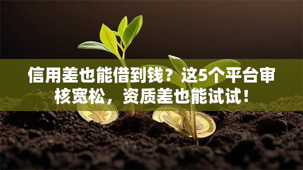信用差也能借到钱？这5个平台审核宽松，资质差也能试试！