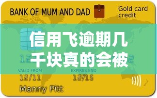信用飞逾期几千块真的会被起诉吗？别慌！深度解析后果和应对