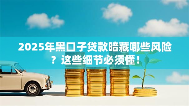 2025年黑口子贷款暗藏哪些风险？这些细节必须懂！