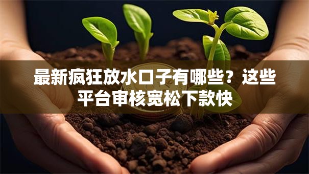 最新疯狂放水口子有哪些？这些平台审核宽松下款快