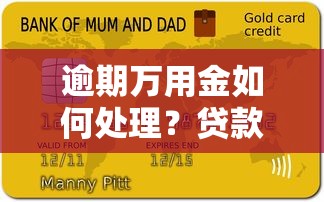 逾期万用金如何处理？贷款用户必看的解决方案与应对技巧