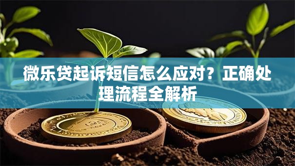 微乐贷起诉短信怎么应对？正确处理流程全解析