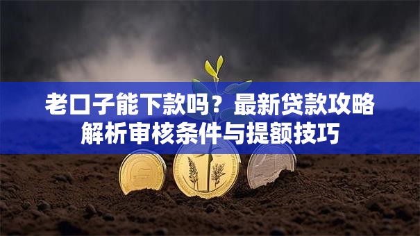 老口子能下款吗？最新贷款攻略解析审核条件与提额技巧