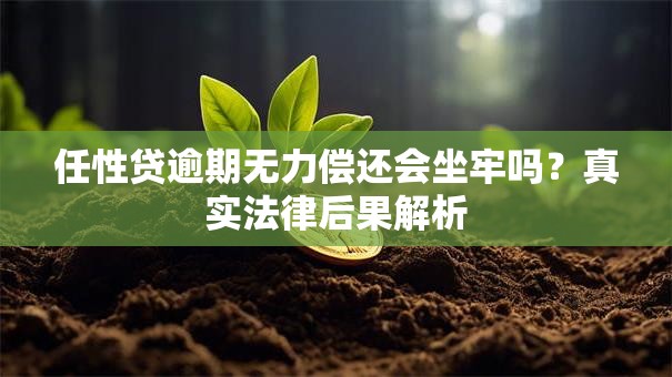 任性贷逾期无力偿还会坐牢吗？真实法律后果解析