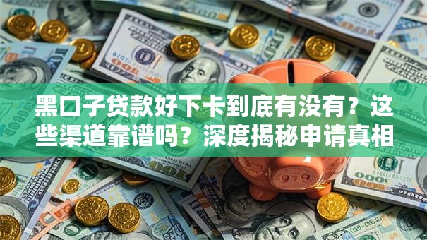 黑口子贷款好下卡到底有没有？这些渠道靠谱吗？深度揭秘申请真相