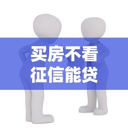 买房不看征信能贷款吗？3种非征信审核渠道深度解析