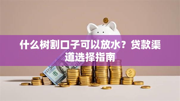 什么树割口子可以放水？贷款渠道选择指南