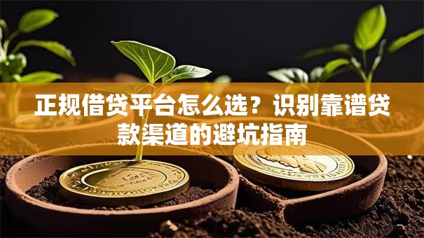 正规借贷平台怎么选？识别靠谱贷款渠道的避坑指南