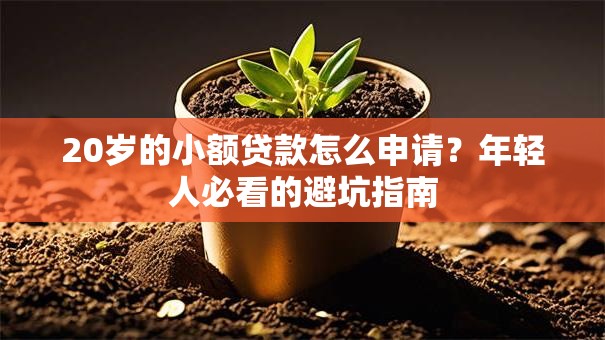20岁的小额贷款怎么申请？年轻人必看的避坑指南