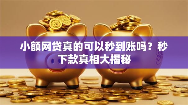 小额网贷真的可以秒到账吗？秒下款真相大揭秘