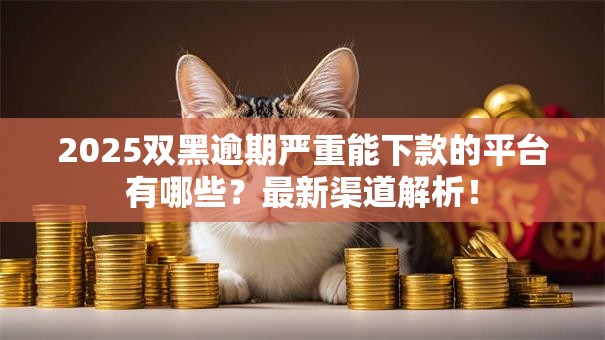 2025双黑逾期严重能下款的平台有哪些？最新渠道解析！