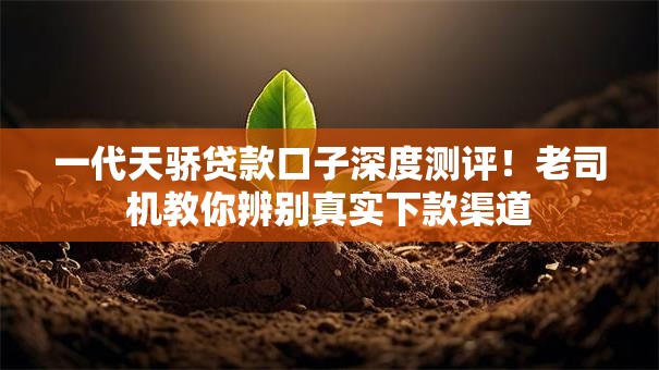 一代天骄贷款口子深度测评！老司机教你辨别真实下款渠道