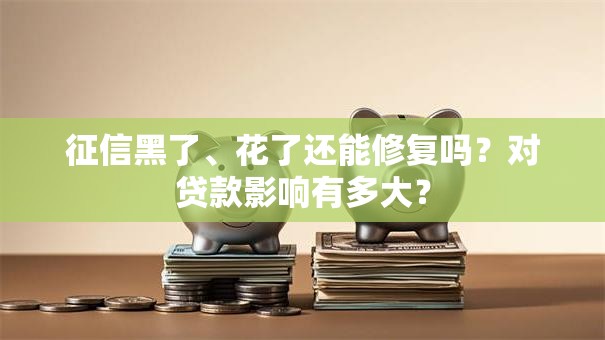 征信黑了、花了还能修复吗？对贷款影响有多大？