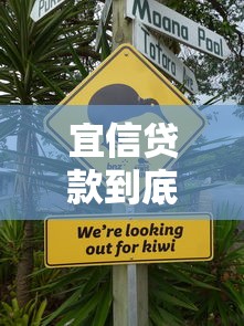 宜信贷款到底上不上征信？看完这篇你就明白了