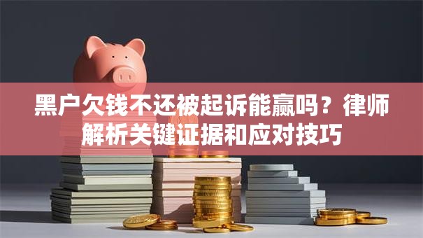 黑户欠钱不还被起诉能赢吗？律师解析关键证据和应对技巧